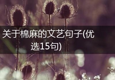 关于棉麻的文艺句子(优选15句)