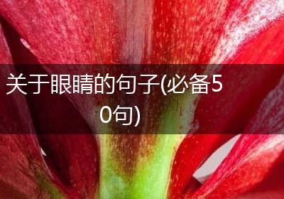 关于眼睛的句子(必备50句)