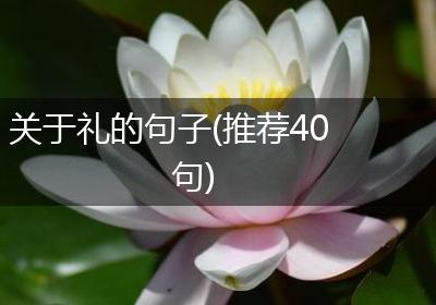 关于礼的句子(推荐40句)