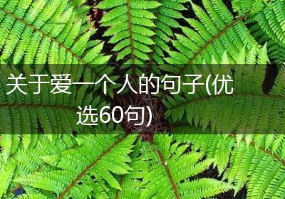 关于爱一个人的句子(优选60句)