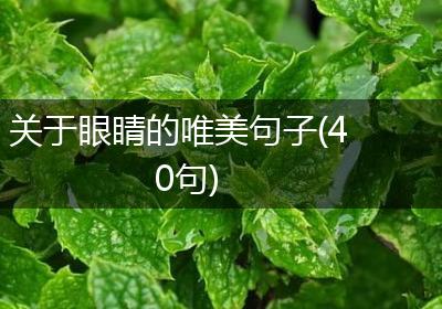 关于眼睛的唯美句子(40句)