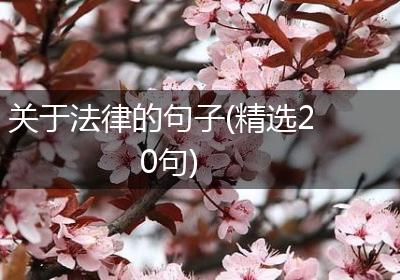 关于法律的句子(精选20句)