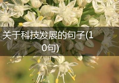 关于科技发展的句子(10句)