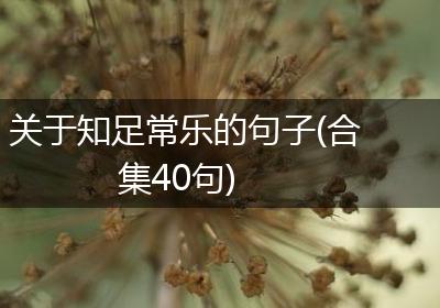 关于知足常乐的句子(合集40句)