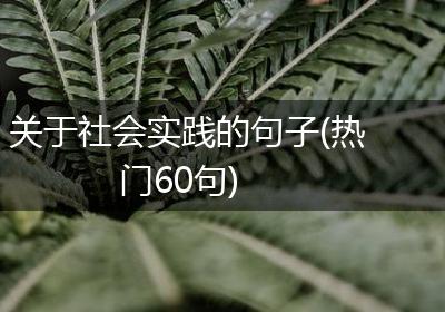 关于社会实践的句子(热门60句)