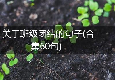 关于班级团结的句子(合集60句)