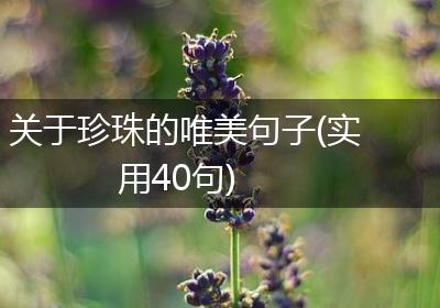 关于珍珠的唯美句子(实用40句)