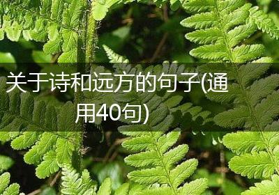 关于诗和远方的句子(通用40句)