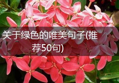 关于绿色的唯美句子(推荐50句)