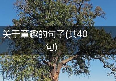 关于童趣的句子(共40句)