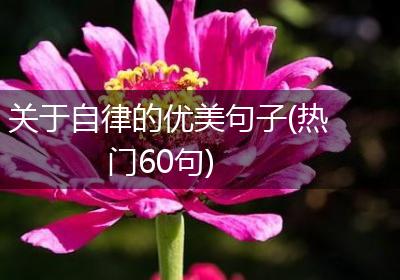 关于自律的优美句子(热门60句)