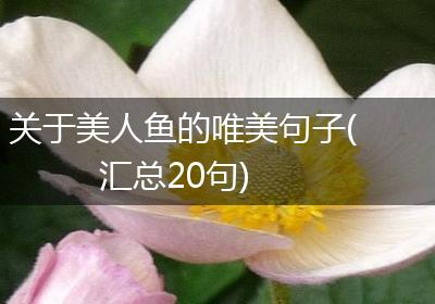 关于美人鱼的唯美句子(汇总20句)