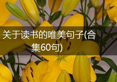 关于读书的唯美句子(合集60句)