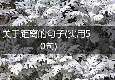 关于距离的句子(实用50句)