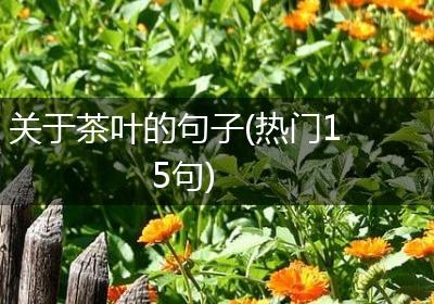 关于茶叶的句子(热门15句)