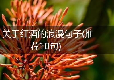关于红酒的浪漫句子(推荐10句)