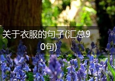 关于衣服的句子(汇总90句)