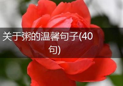 关于粥的温馨句子(40句)