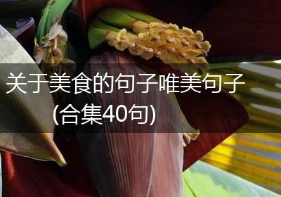 关于美食的句子唯美句子(合集40句)