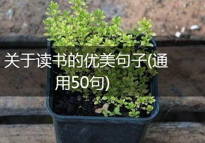 关于读书的优美句子(通用50句)
