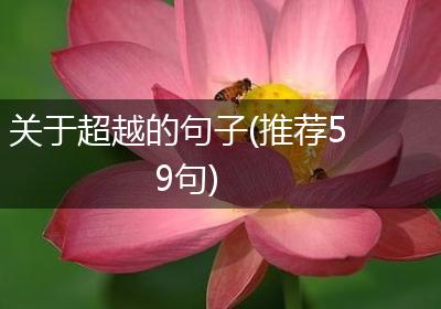 关于超越的句子(推荐59句)