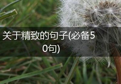 关于精致的句子(必备50句)