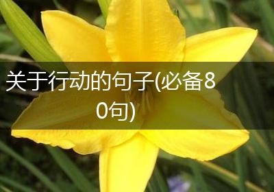 关于行动的句子(必备80句)