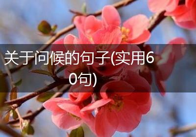 关于问候的句子(实用60句)