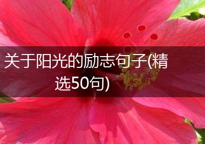 关于阳光的励志句子(精选50句)