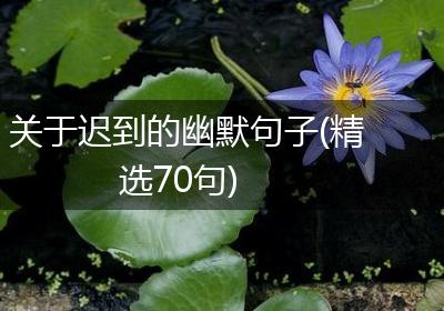 关于迟到的幽默句子(精选70句)