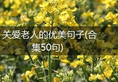 关爱老人的优美句子(合集50句)