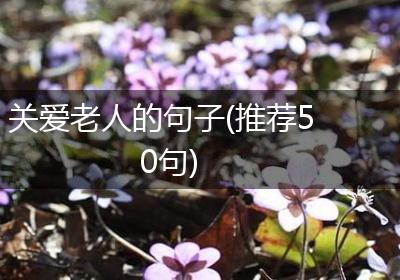 关爱老人的句子(推荐50句)