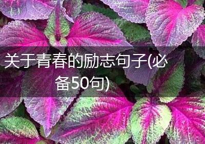 关于青春的励志句子(必备50句)