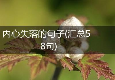 内心失落的句子(汇总58句)