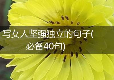 写女人坚强独立的句子(必备40句)
