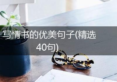 写情书的优美句子(精选40句)