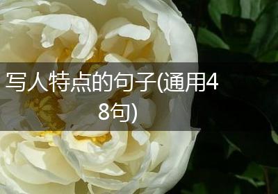 写人特点的句子(通用48句)