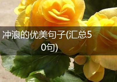 冲浪的优美句子(汇总50句)