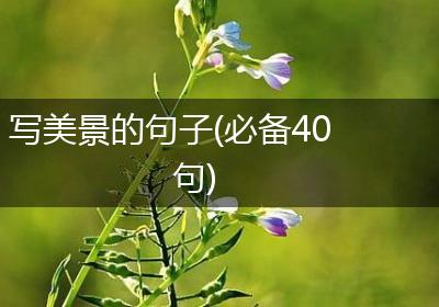 写美景的句子(必备40句)