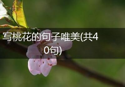 写桃花的句子唯美(共40句)