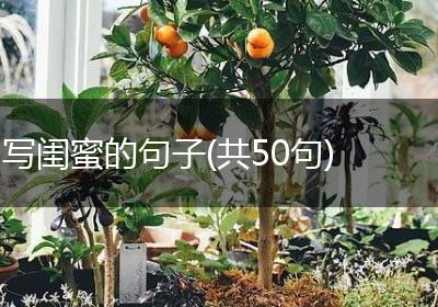 写闺蜜的句子(共50句)