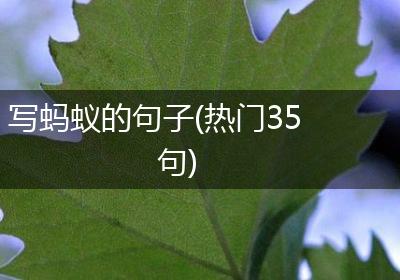 写蚂蚁的句子(热门35句)