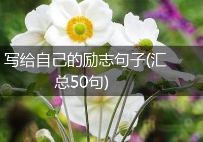 写给自己的励志句子(汇总50句)