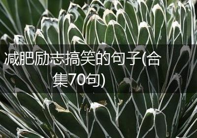 减肥励志搞笑的句子(合集70句)