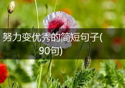 努力变优秀的简短句子(90句)