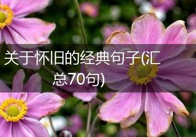 关于怀旧的经典句子(汇总70句)
