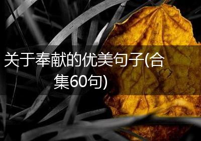关于奉献的优美句子(合集60句)
