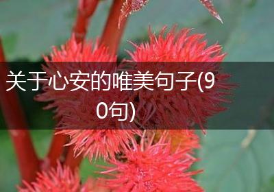 关于心安的唯美句子(90句)