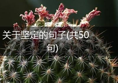 关于坚定的句子(共50句)