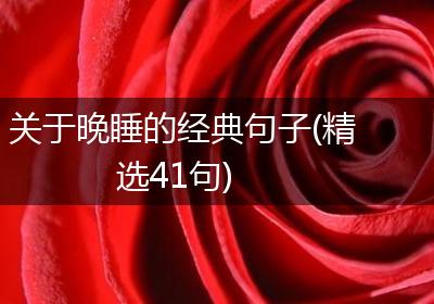 关于晚睡的经典句子(精选41句)